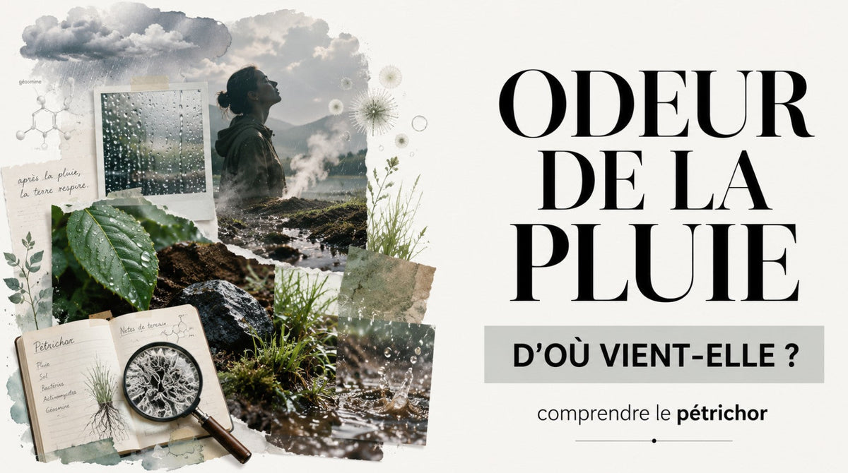Quelle est l’odeur de la pluie et d’où vient-elle ?